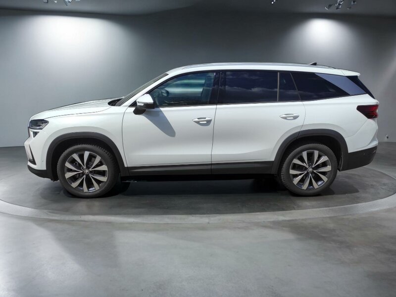 Škoda - Kodiaq - 2,0TDi DSG, Excl.Selection,4x4