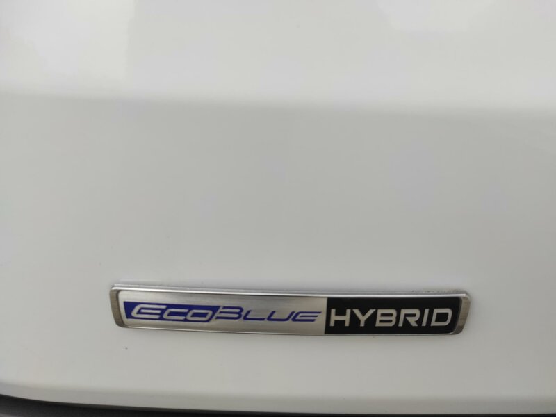 Ford - Transit - 2.0 EcoBlue, mHev,9 míst,L3,TZ