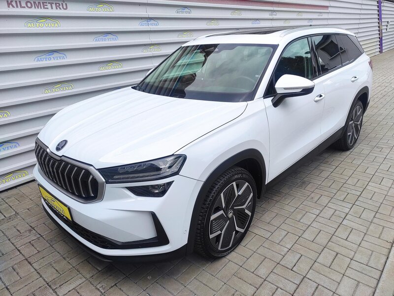 Škoda - Kodiaq - 2,0TDi DSG,4x4,7míst,Záruka